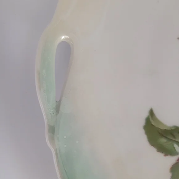 Vtg SCHUMANN ARZBERG Bavaria Germany WILD ROSE 10" Platter Plate W/ Handles - Picture 6 of 7